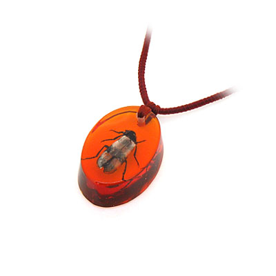 橢圓形昆蟲(chóng)彩色琥珀項(xiàng)鏈