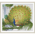 孔雀開(kāi)屏十字繡套件中格79*88cm