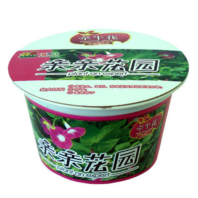 親親花園創(chuàng)意小園藝/可愛牽牛花種植花草