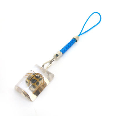 昆蟲透明琥珀飾品個性手機掛件批發(fā)
